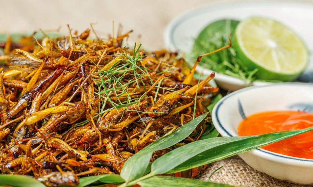 Dế chiên giòn Dế chiên giòn