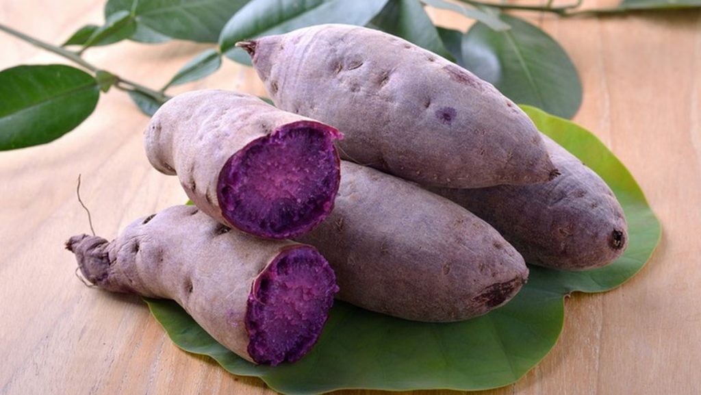 Khoai tím Lục Yên Khoai tím Lục Yên