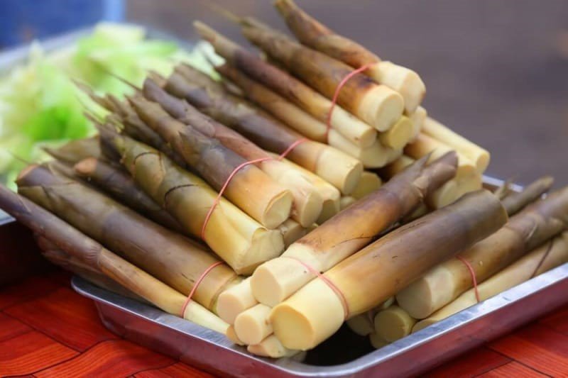 Măng đắng Lào Cai Măng đắng Lào Cai