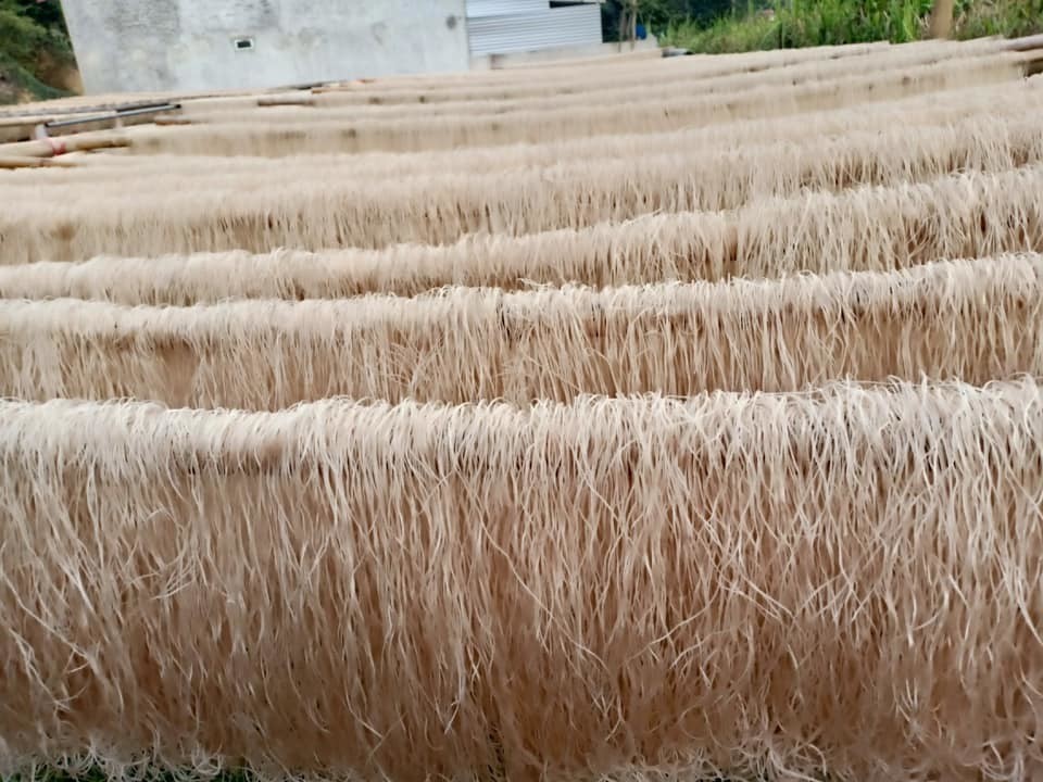 Miến dong Tây Bắc