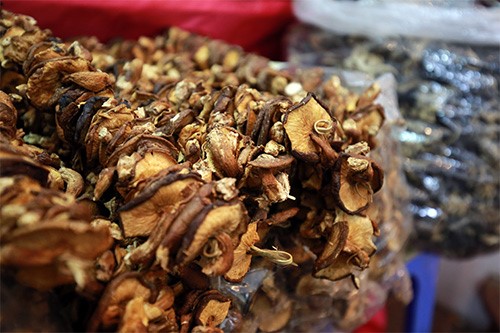 Nấm hương rừng Sapa