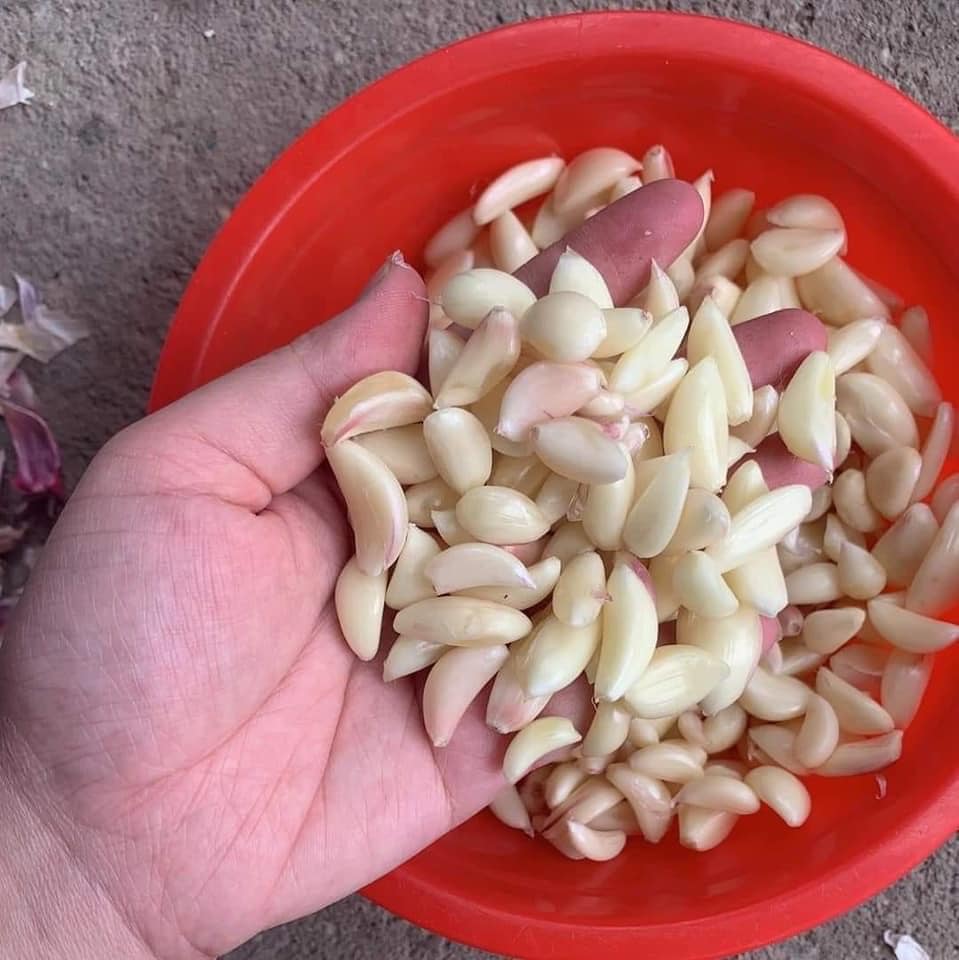 Sơ chế măng tre ngâm tỏi ớt cay giòn
