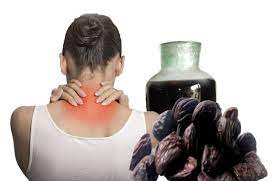 Công dụng của hạt dổi đối với sức khỏe