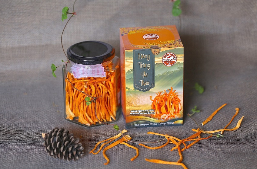 Đông Trùng Hạ Thảo Thái Châu