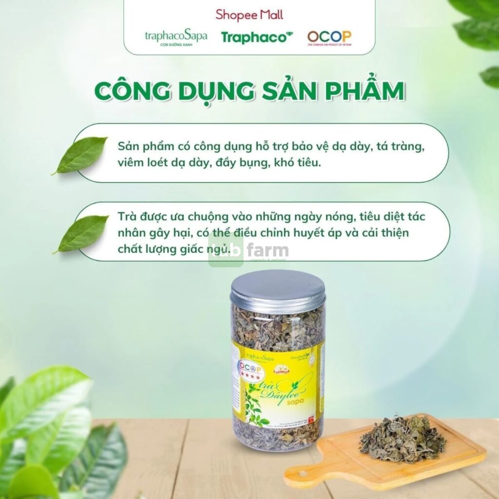 Trà Dây Leo Sapa – Món quà từ thiên nhiên Sapa cho sức khỏe dạ dày Trà Dây Leo Sapa – Món quà từ thiên nhiên Sapa cho sức khỏe dạ dày