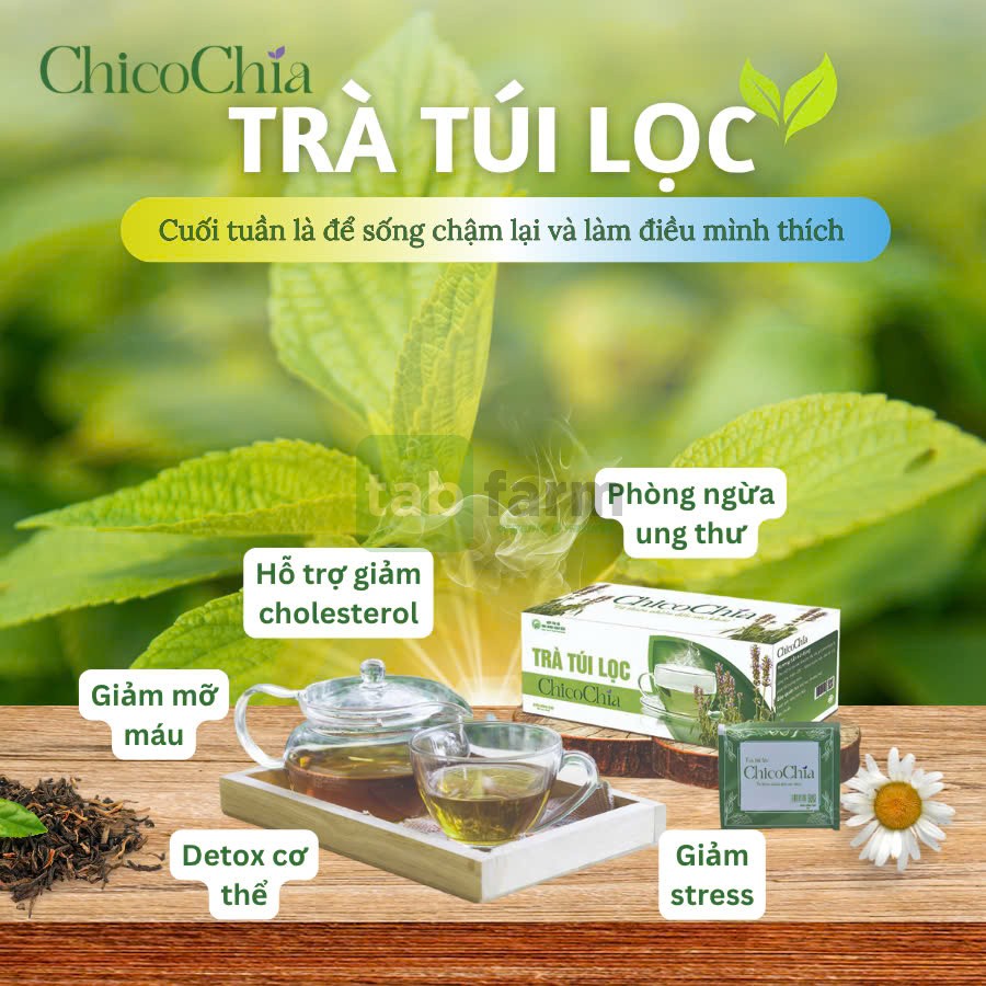 Trà Túi Lọc Cây Chia – Lựa Chọn Vàng Cho Lối Sống Lành Mạnh Trà Túi Lọc Cây Chia – Lựa Chọn Vàng Cho Lối Sống Lành Mạnh