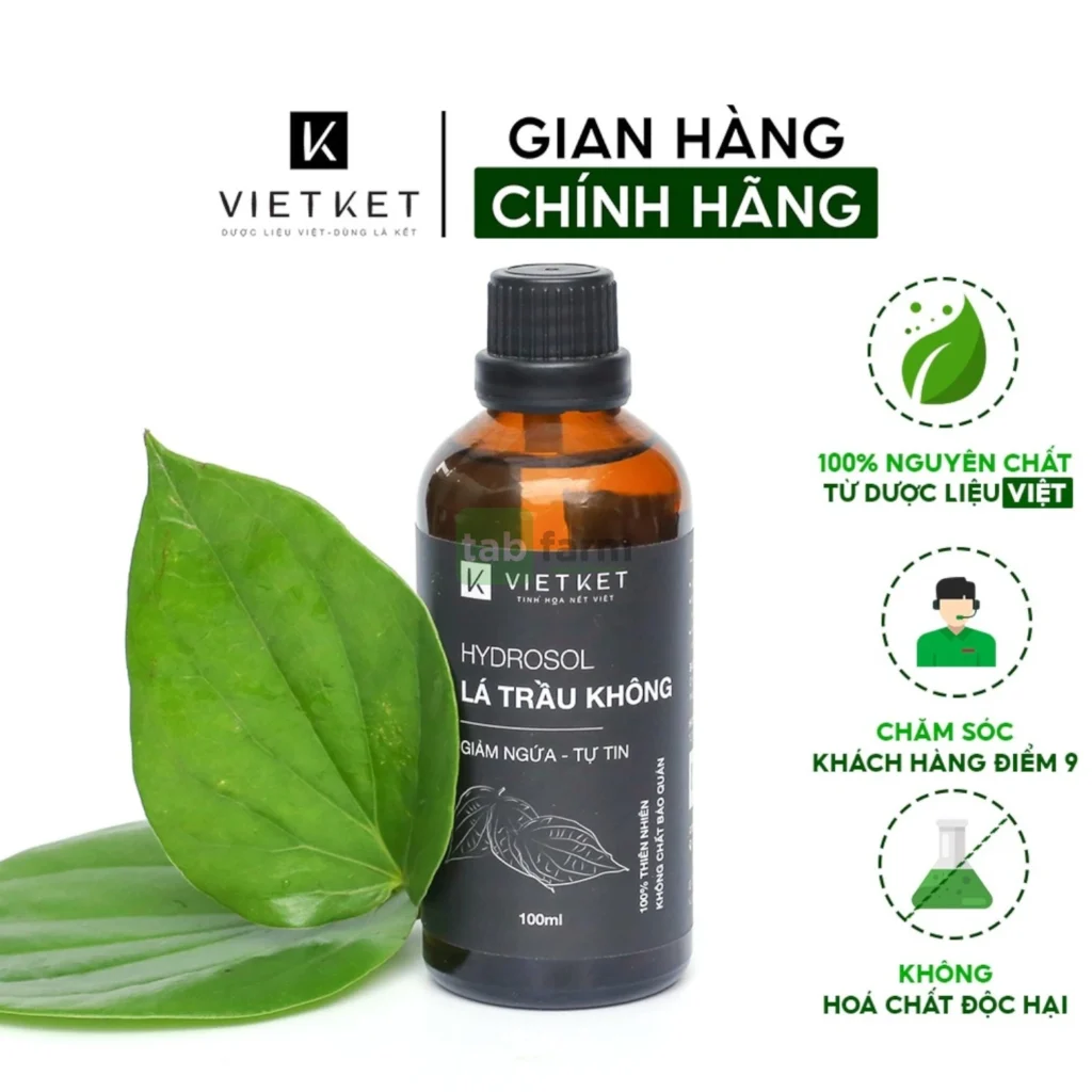 Hydrosol Lá Trầu Không VIETKET – Giải Pháp Vệ Sinh Tự Nhiên, Dịu Nhẹ Và Hiệu Quả Cho Phái Đẹp
