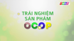 Mua đặc sản OCOP 3 sao online uy tín – Giao tận nơi, giá hợp lý