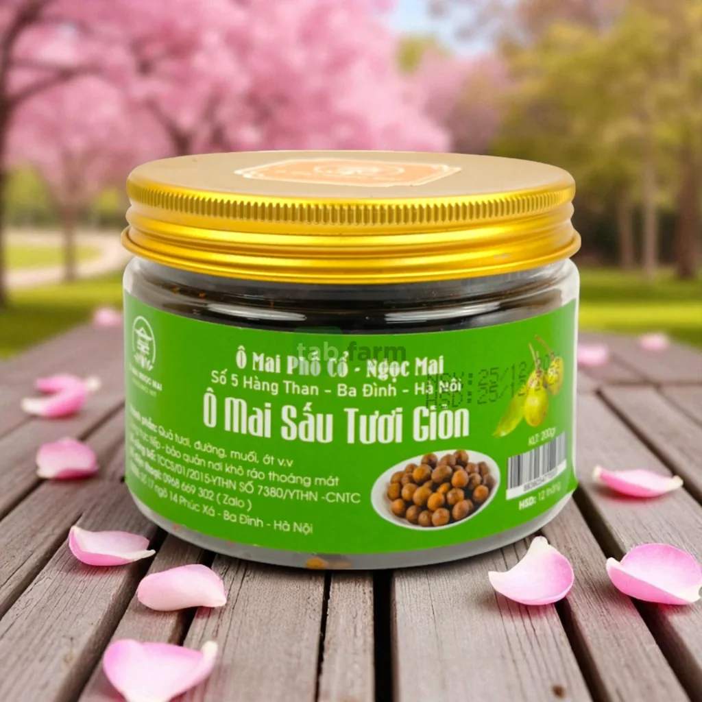 Ô Mai Sấu Tươi Giòn Ngọc Mai – Hương vị tuổi thơ trong từng miếng giòn