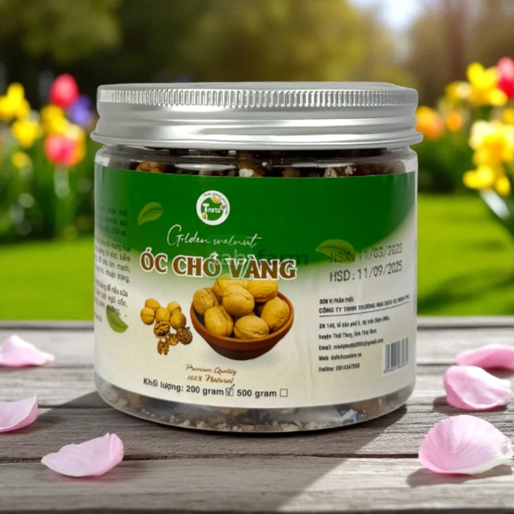 Óc Chó Vàng Tách Vỏ Tnuts – Bí Quyết Cho Cuộc Sống Lành Mạnh và Tràn Đầy Năng Lượng Óc Chó Vàng Tách Vỏ Tnuts – Bí Quyết Cho Cuộc Sống Lành Mạnh và Tràn Đầy Năng Lượng